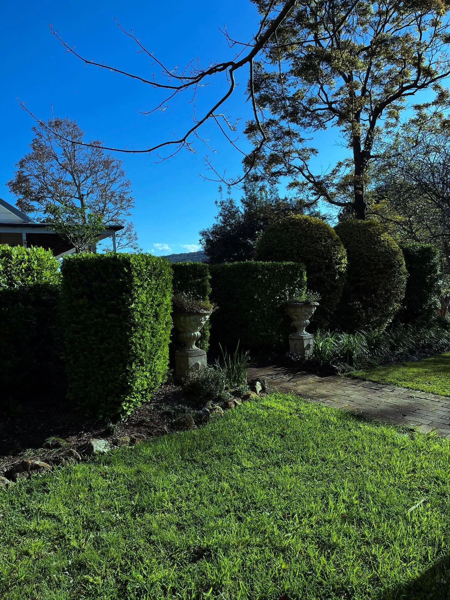 A day in the garden is never a day wasted. 

💚💚💚💚

@hawkesburybluemountainslithgow 
@kurrajongnsw 
@historicstays 

#springgardens 
#ilovemygarden