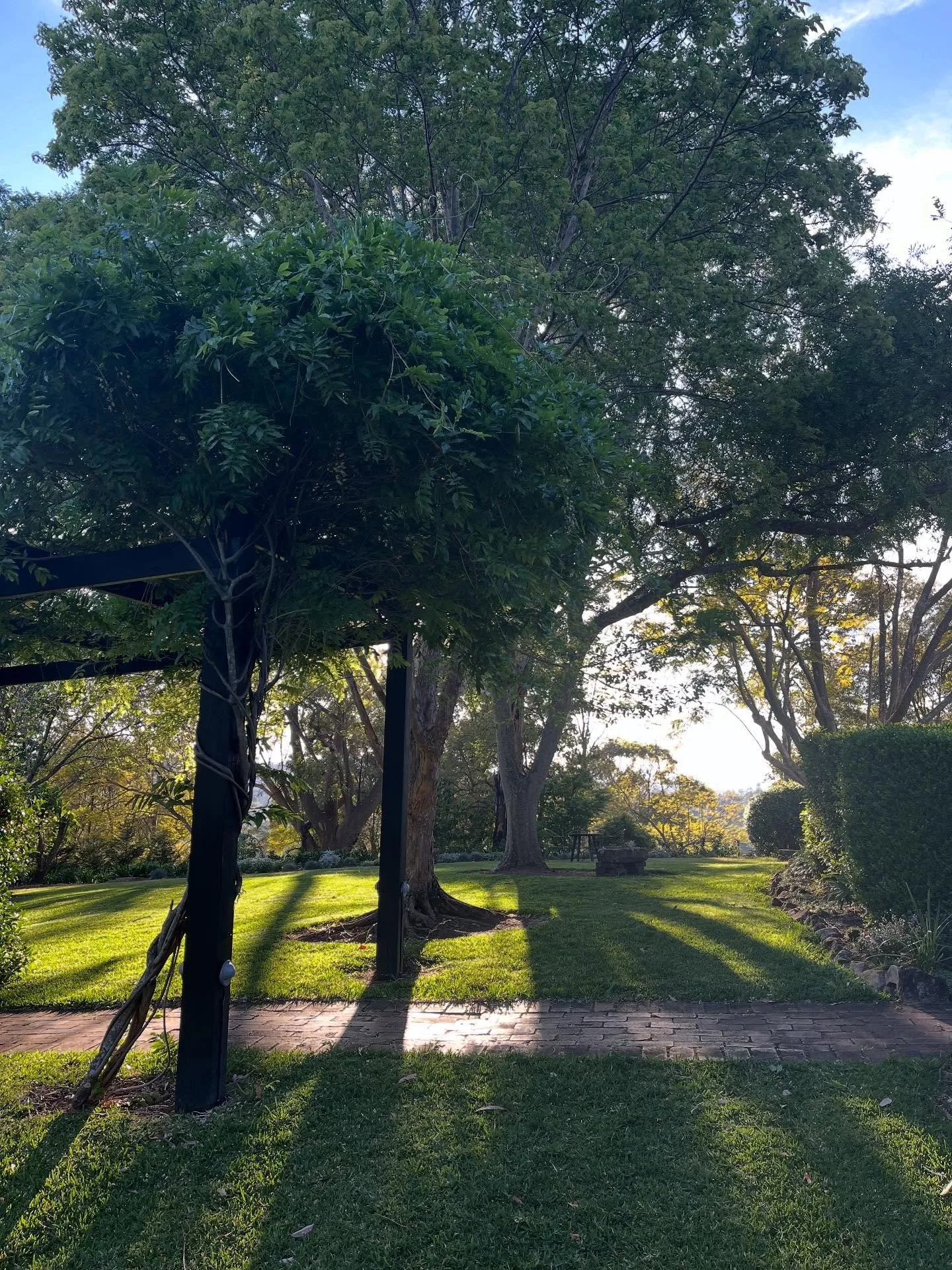 The garden light at various times of the day. 🩷