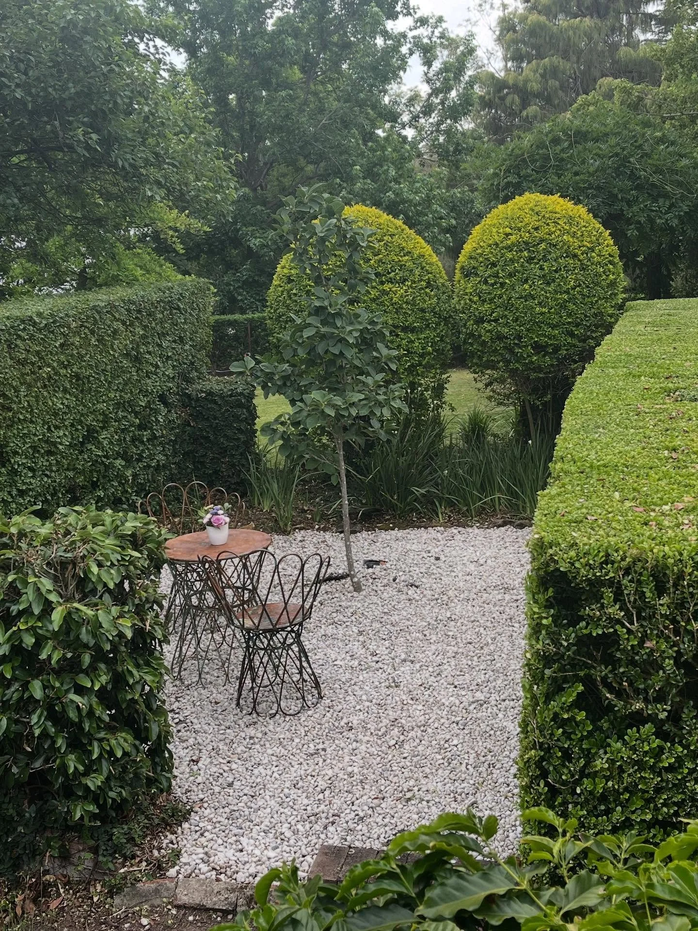 ..and it&rsquo;s all over. Another year, another Jacaranda Party.  Thank you to all our lovely guests. Thank you for having fun! Big thanks to Holly and David @davidwrightandco  for the divine food. 
See you all next year!