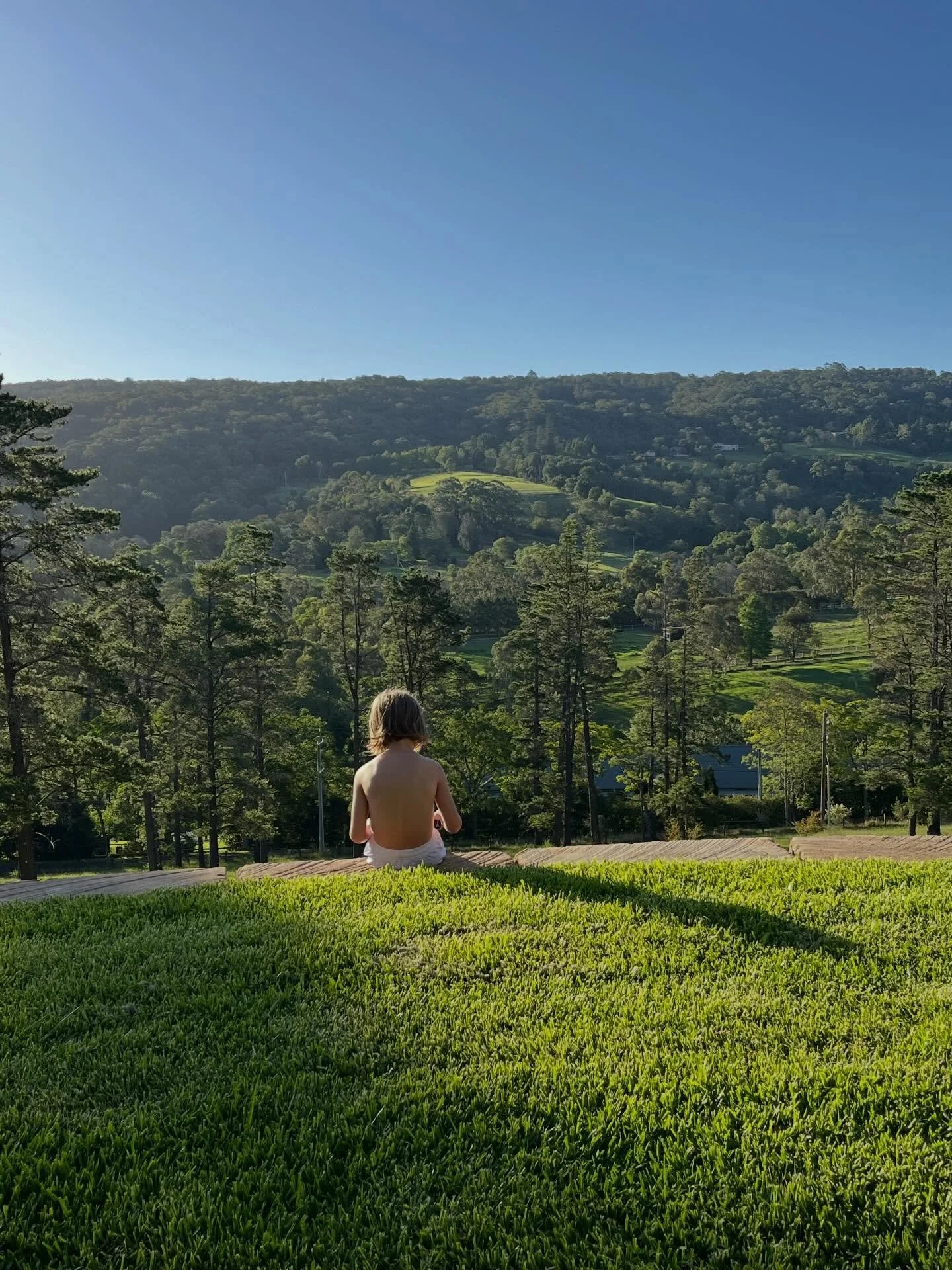 Days at Beechwood are made of this. 

@travel_nsw_offical 
@kurrajongnsw 
@bluemtns_explore 

#australiaday 
#summervibes☀️ 
#longweekendvibes🍹☀️