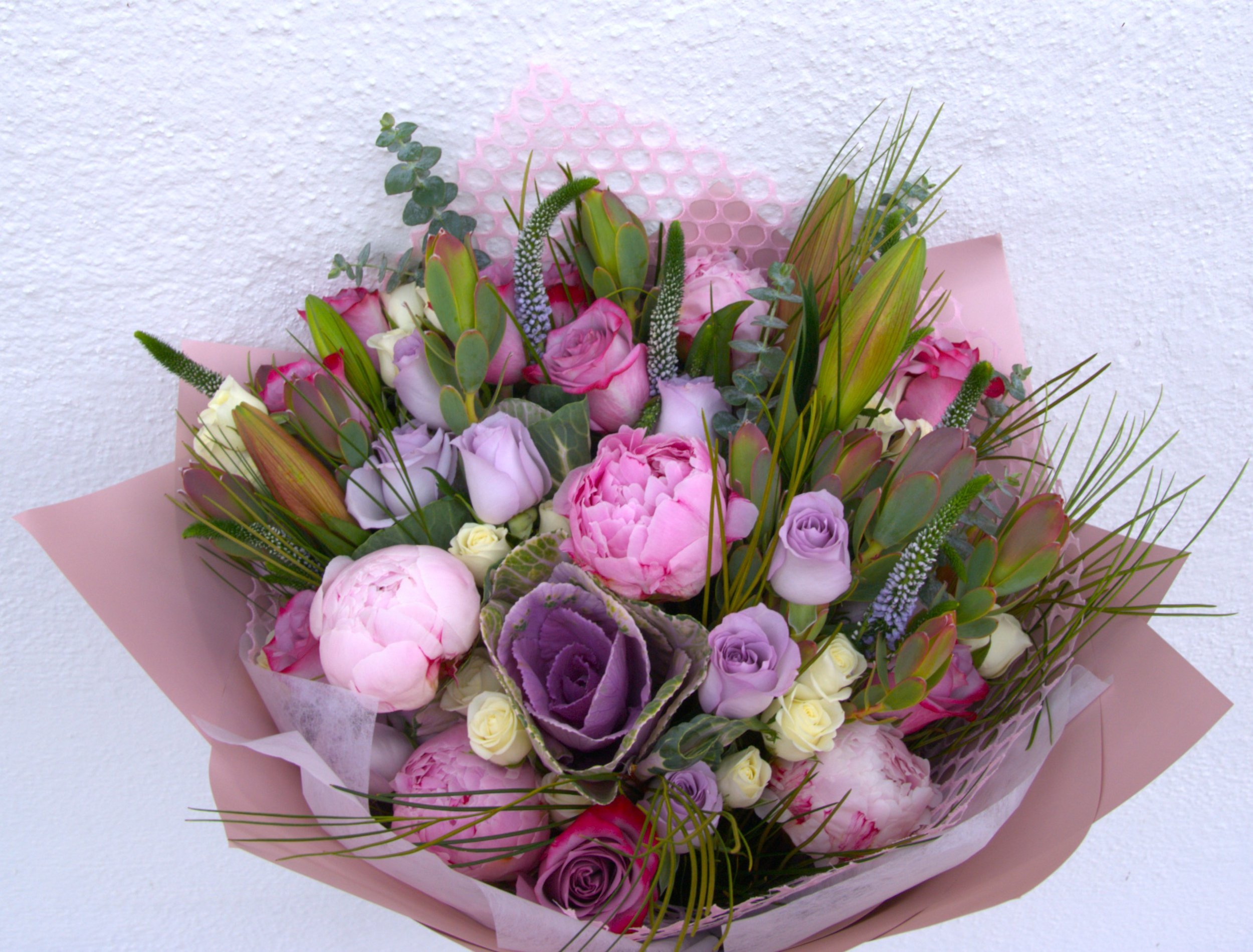 DSC02308 1.jpg