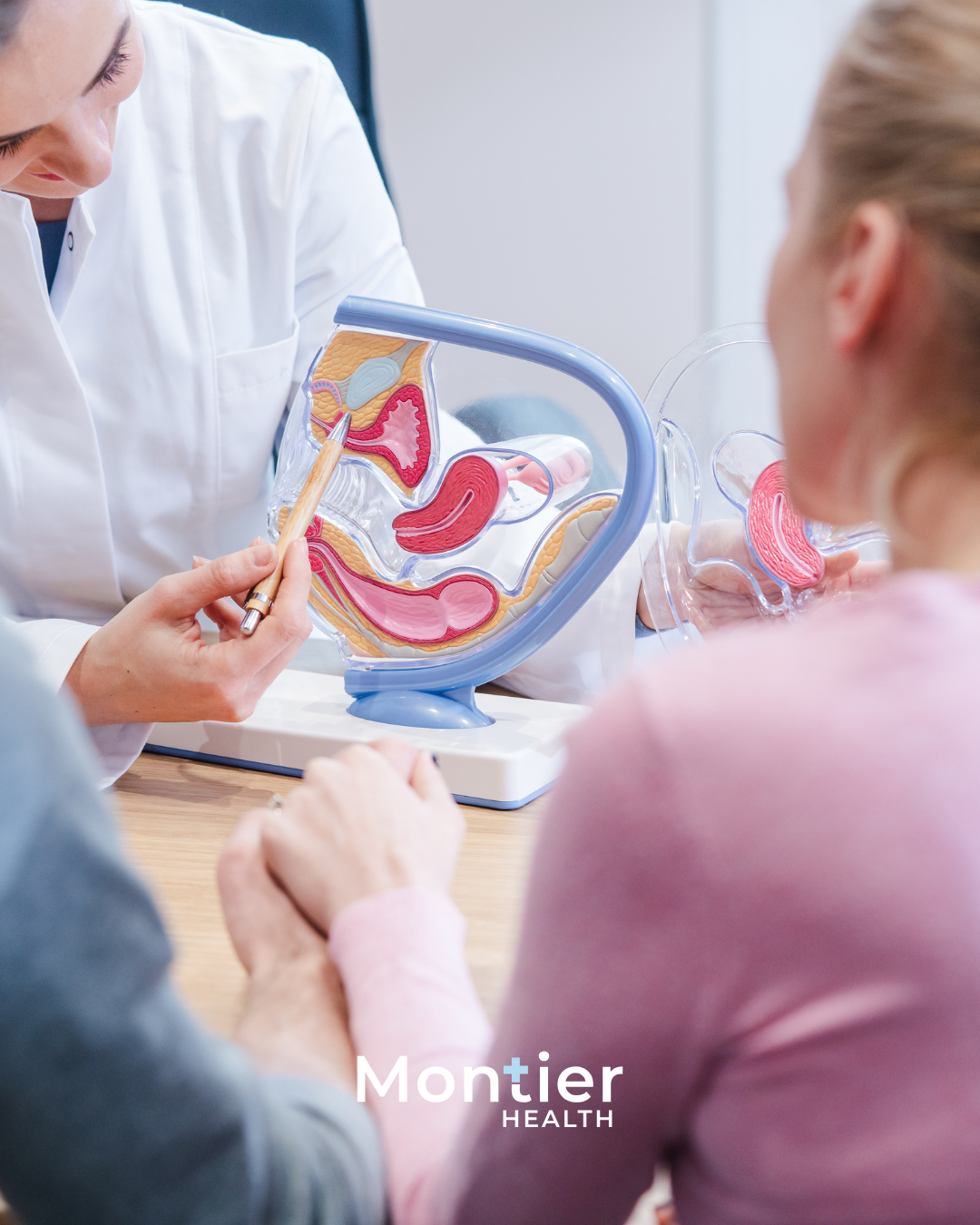 Doctor showing women's reproductive system PCOS PMOS