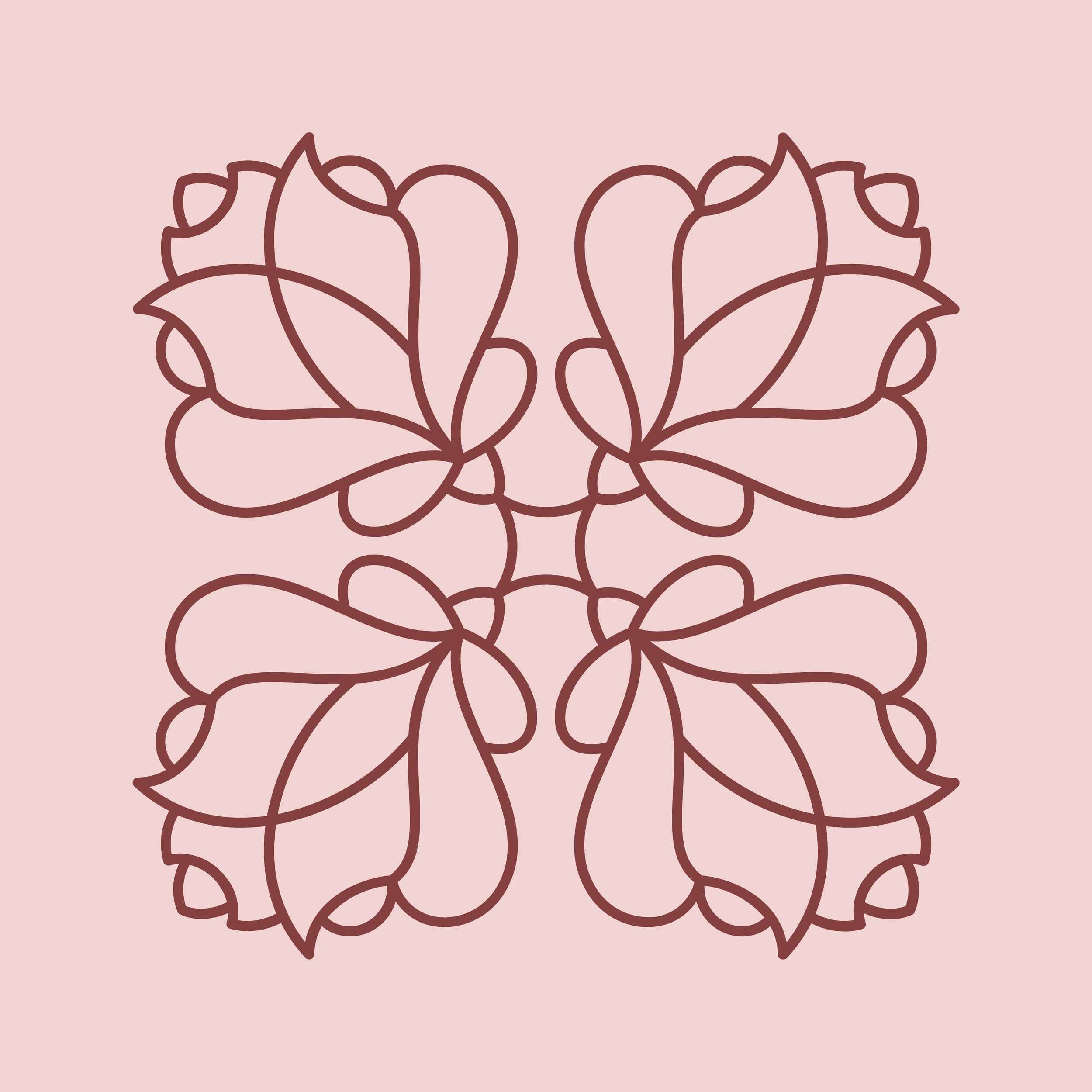 Support Coordination Chadstone