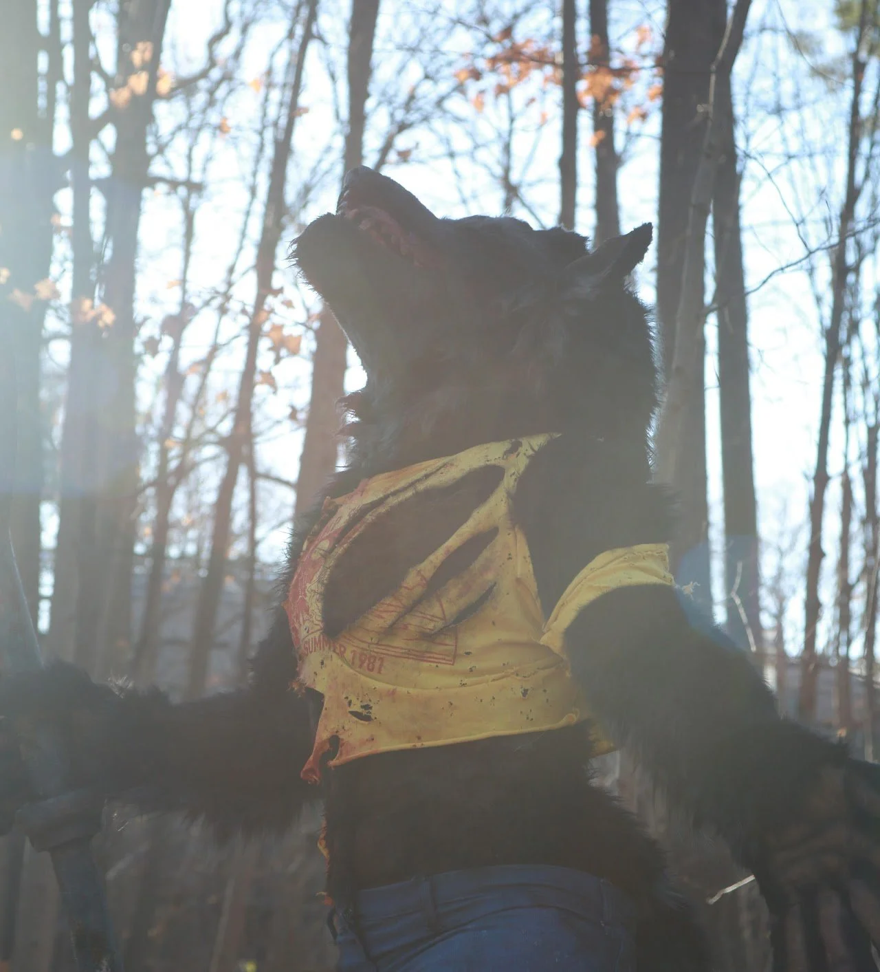 AF1QipMqWhENos6i4IdZn_nTFQRG-g3KV2Ds64JrrC1