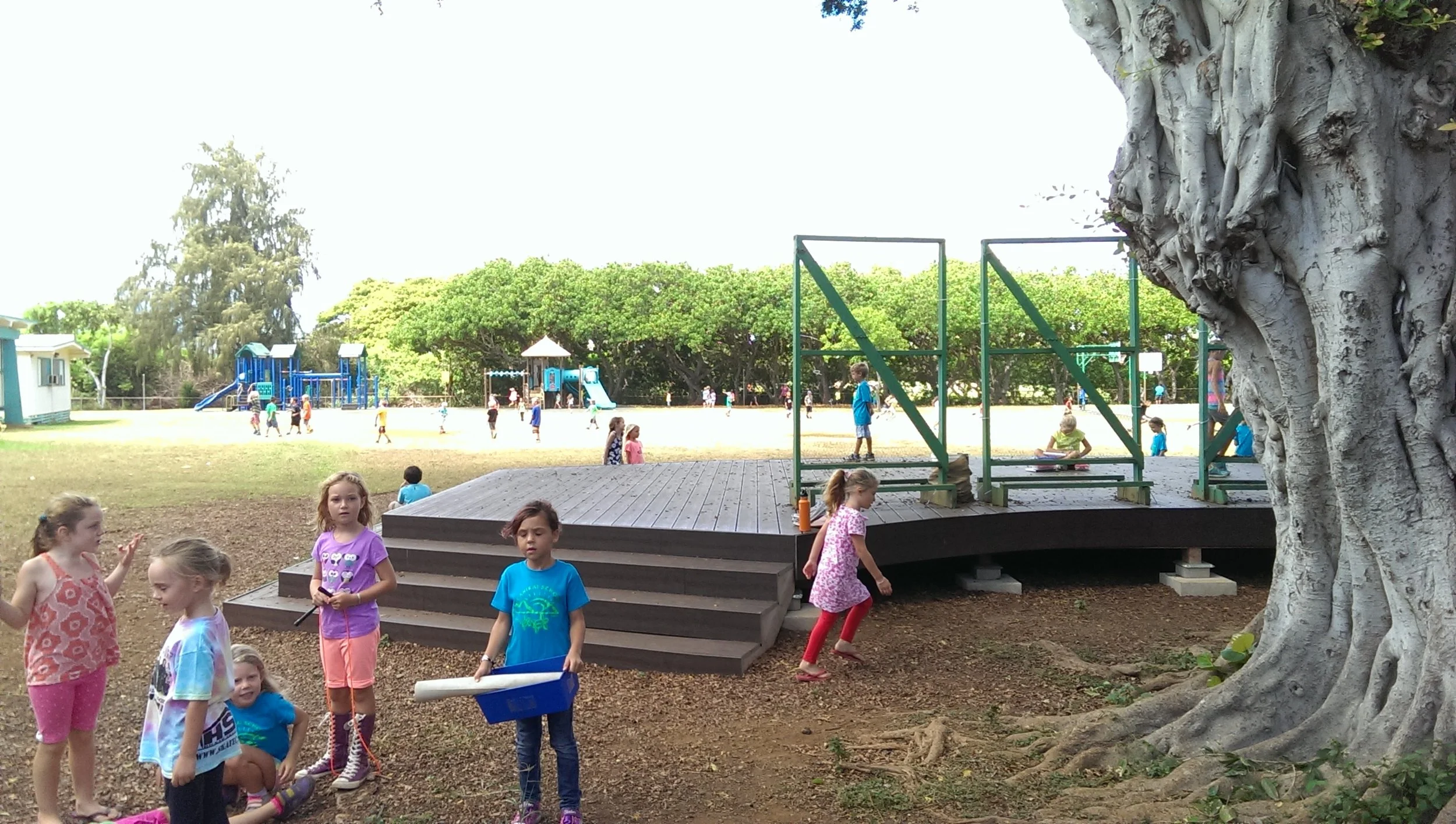 IMAG2428.jpg