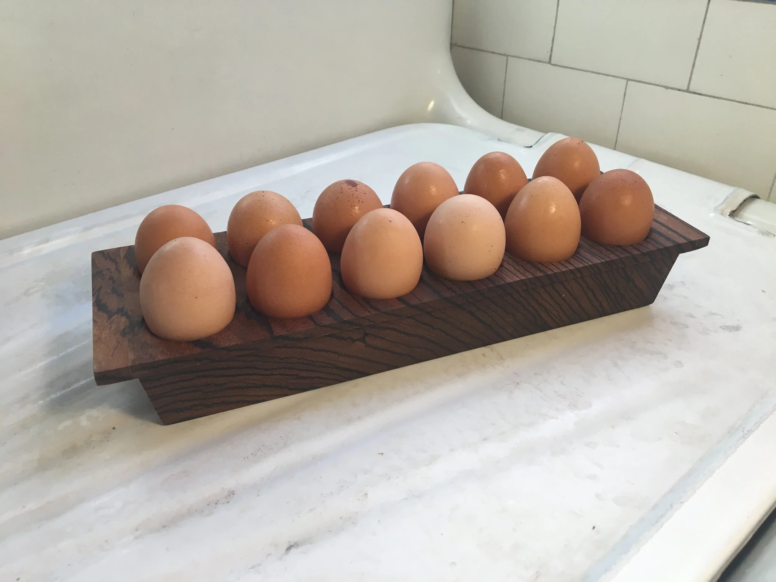 Long Doz w eggs iso.JPG