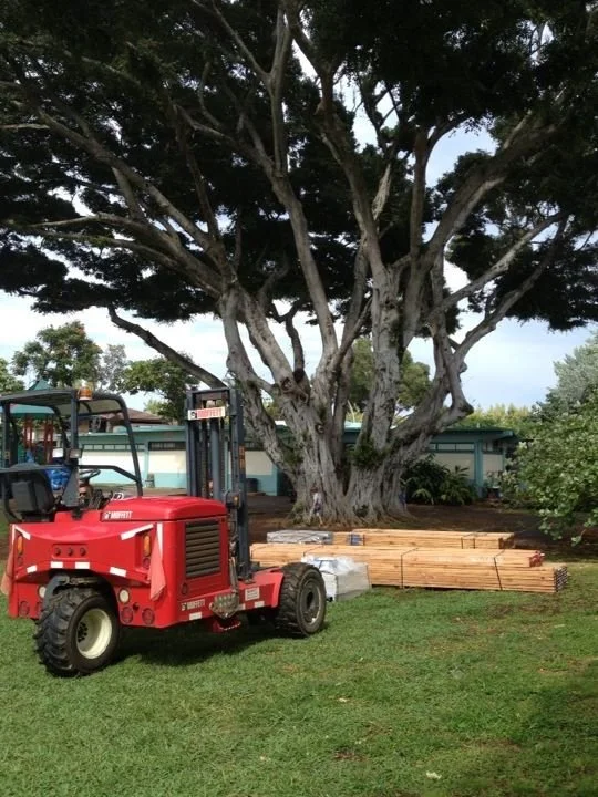 Lanikai first lumber.jpg