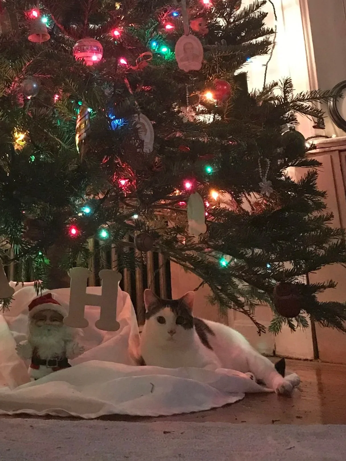 Project Happy Life - Gift Card