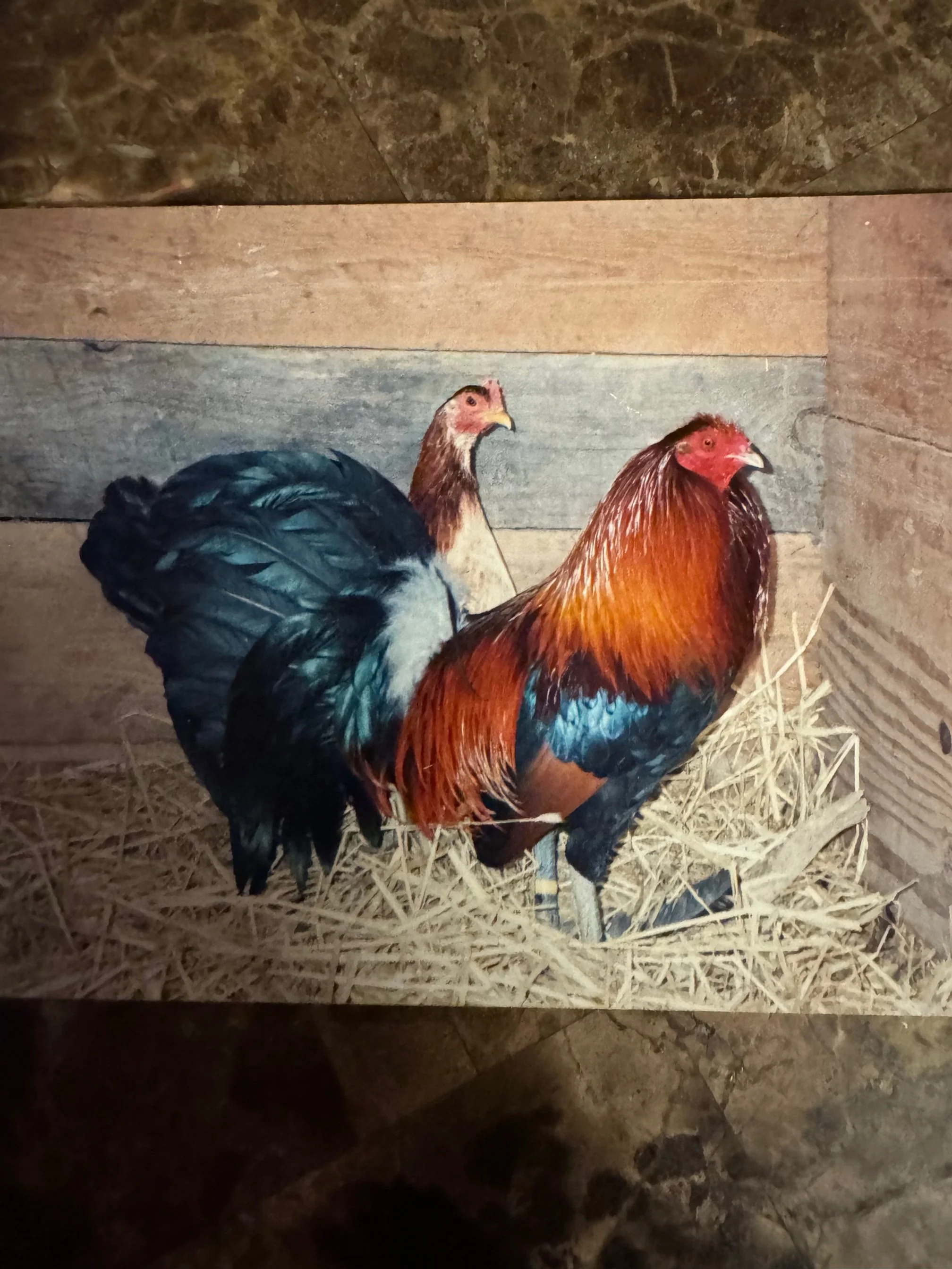 NEw Goals - Poultry Shows