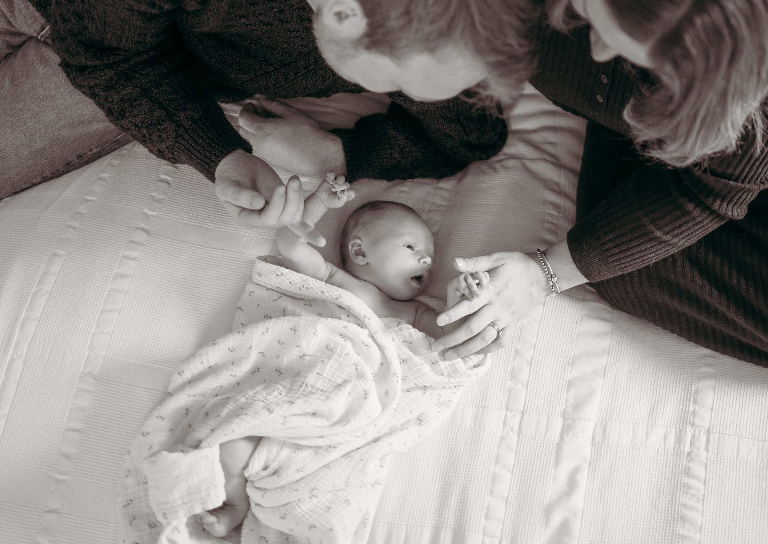 graciedesmond-116 copy.jpg