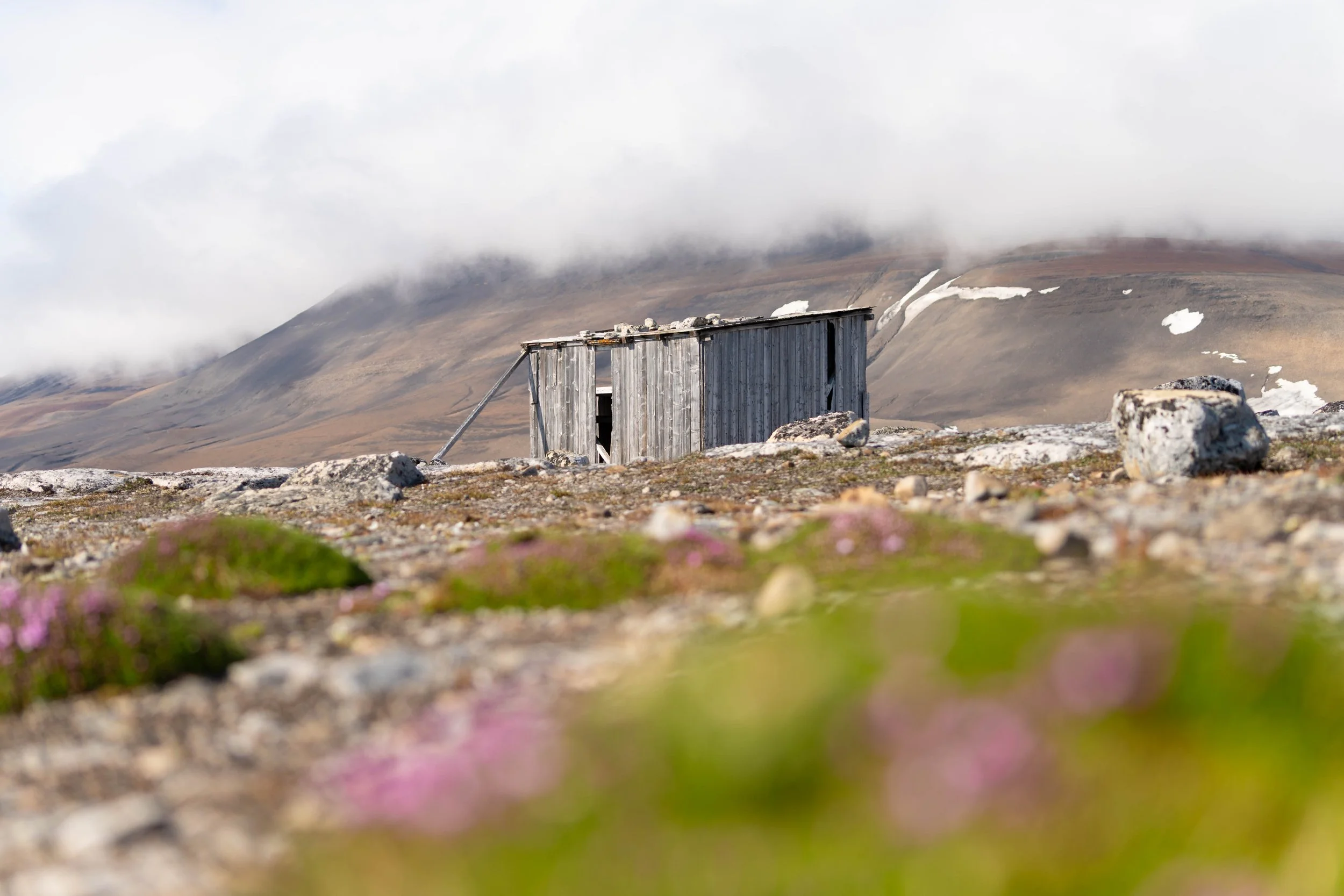 Arctic_Svalbard_MattCheok-5.jpg