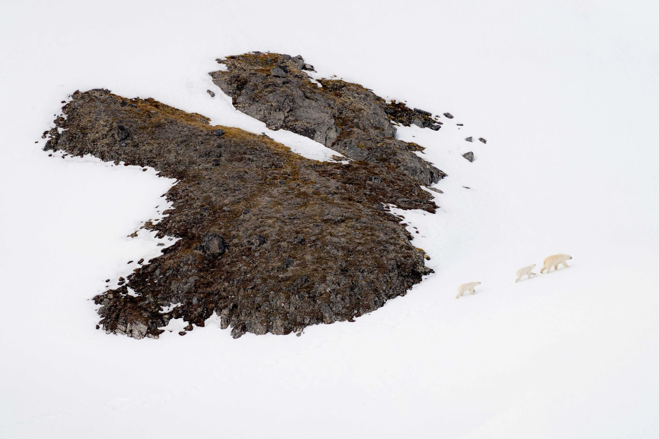 Arctic_Svalbard_MattCheok-2-2.jpg