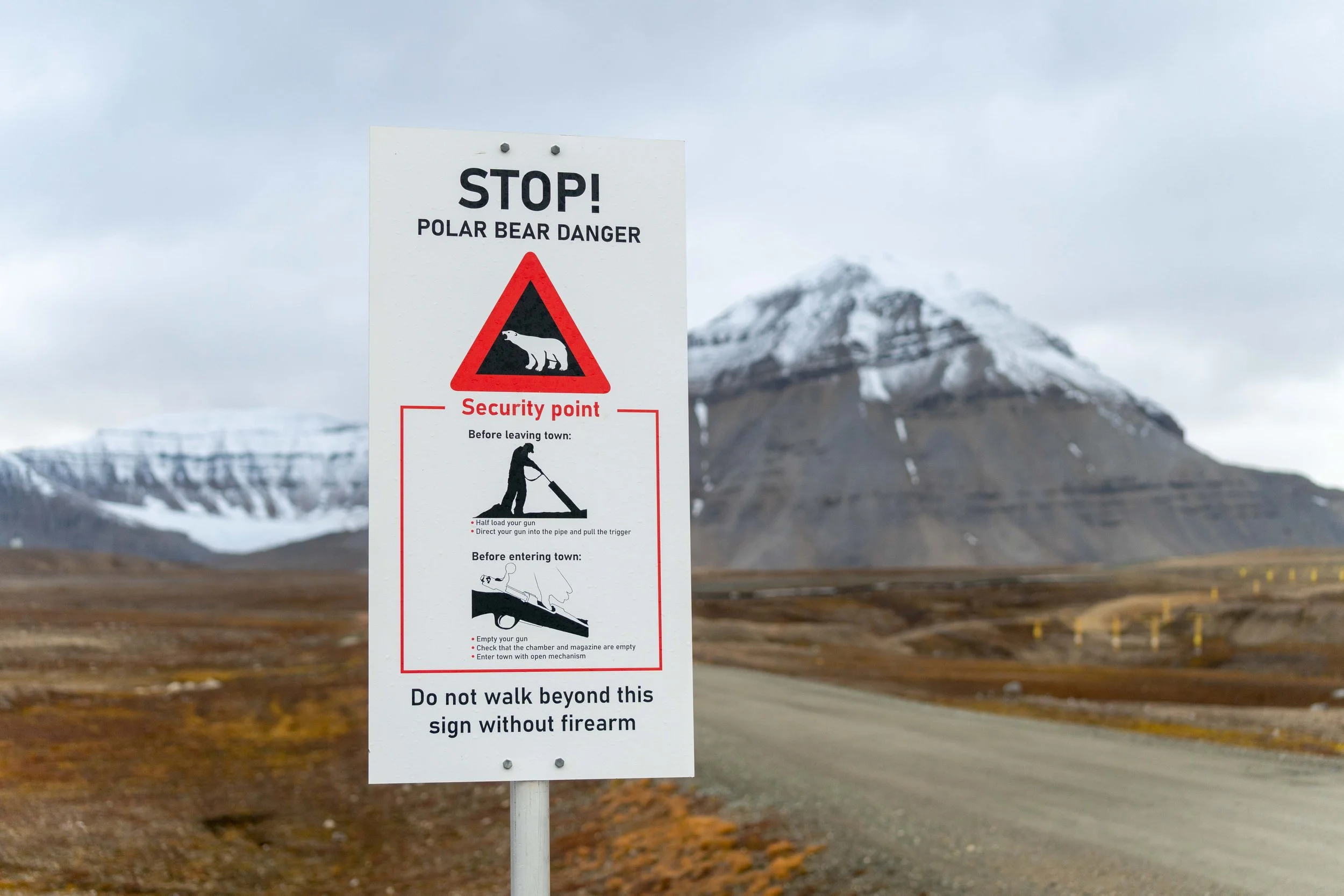 Arctic-6.jpg