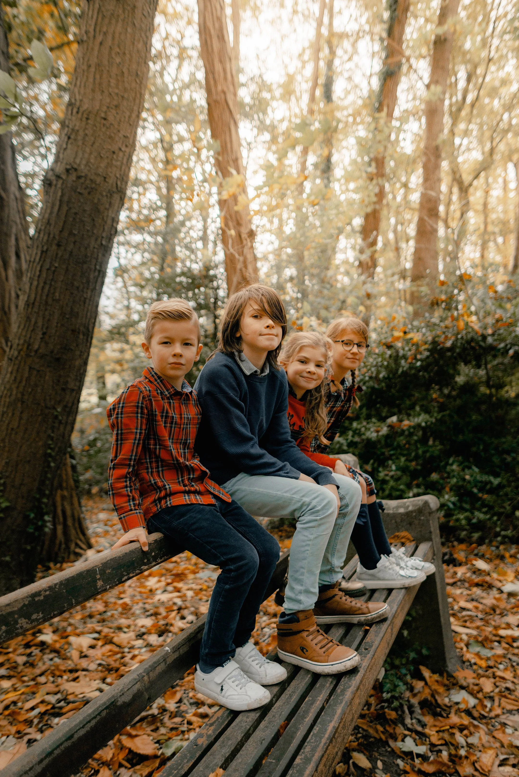Cuatro niños sentados en un banco en un bosque en otoño.