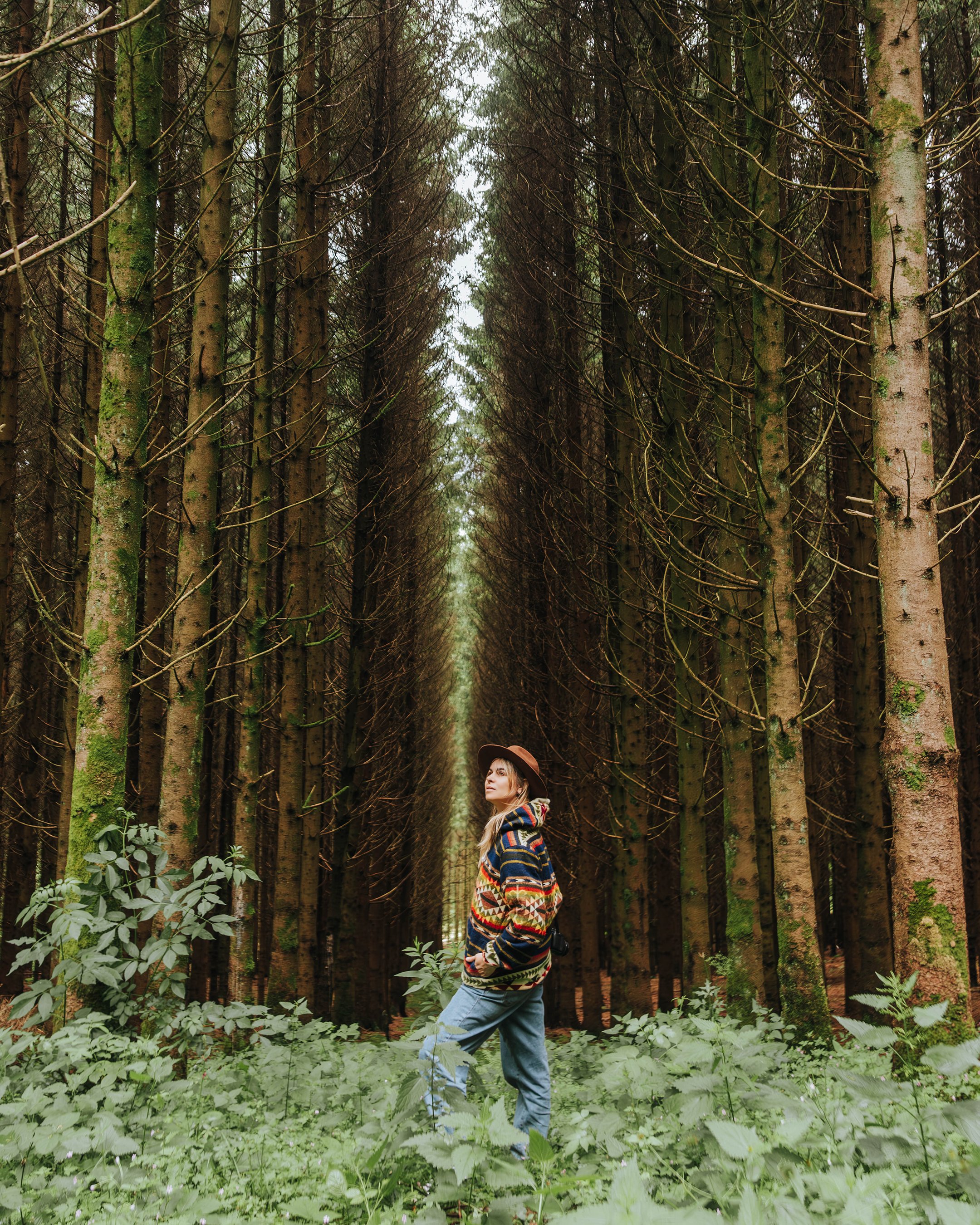 A woman standing in a dense forest of tall, thin trees, wearing a colorful patterned jacket and a wide-brimmed hat. She has her hands in her pockets and is looking up amidst lush green foliage.