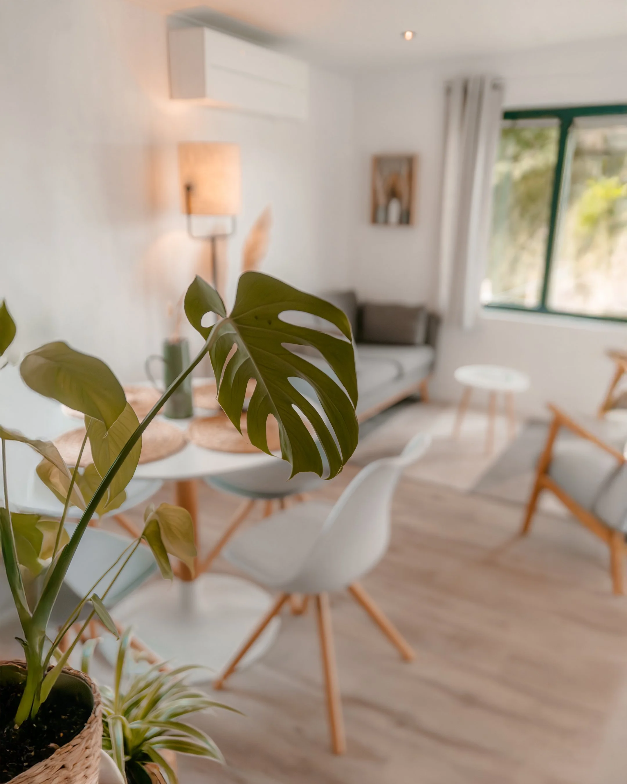 Living room with a table, chairs, a sofa, and houseplants, illuminated by natural light through a window.