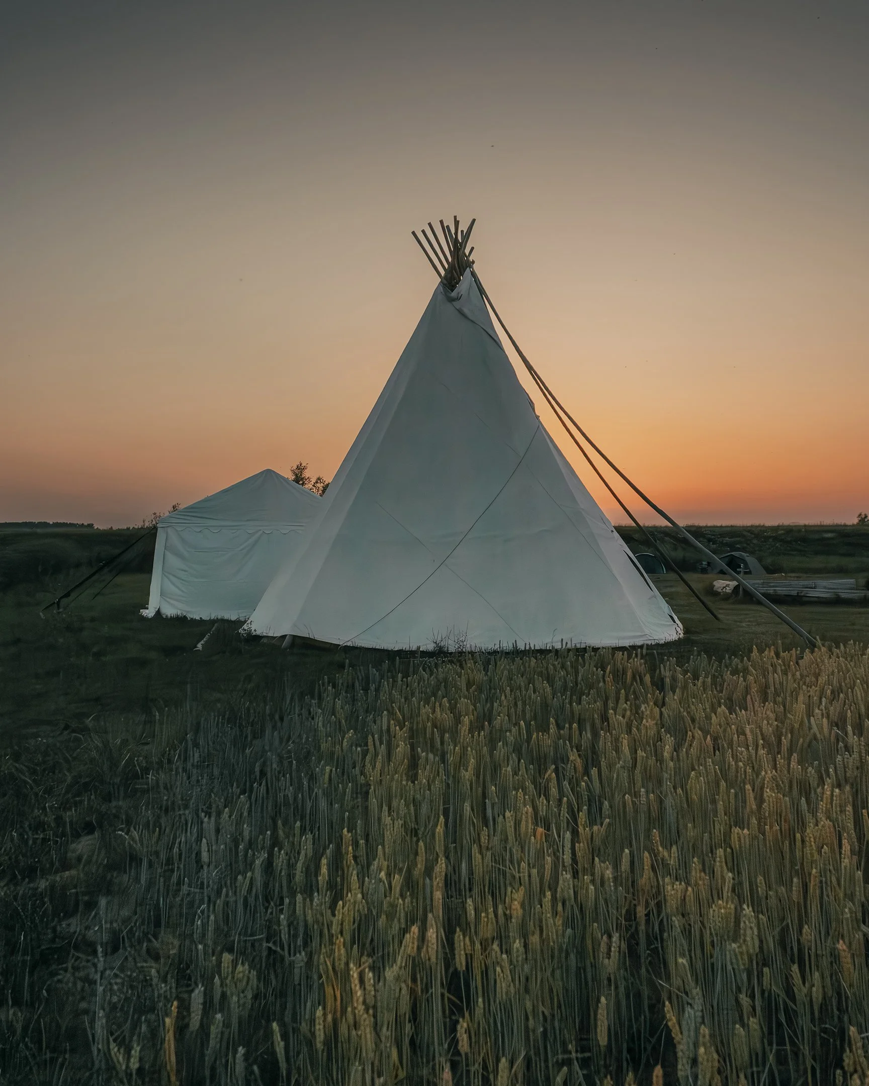 A white teepee tent with wooden poles at sunset in a grassy field.