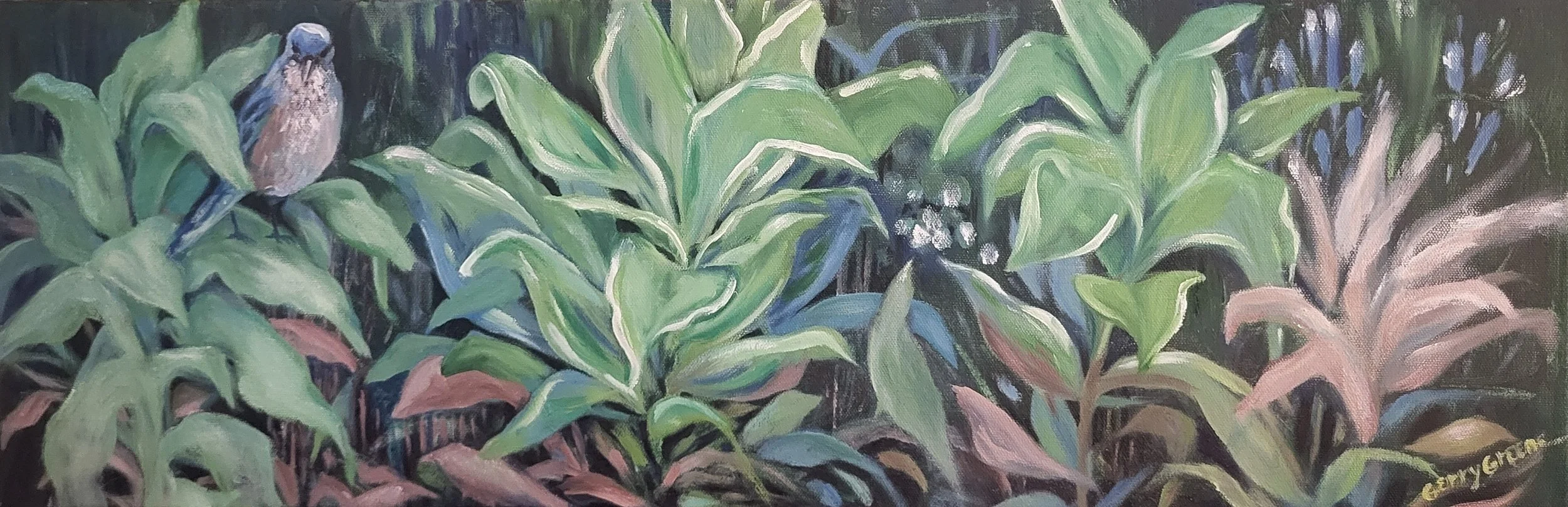 HOSTAS 10X30