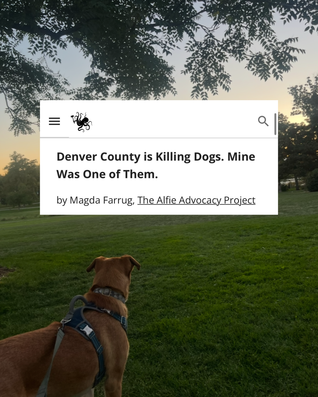 Untitled design.png.PNG