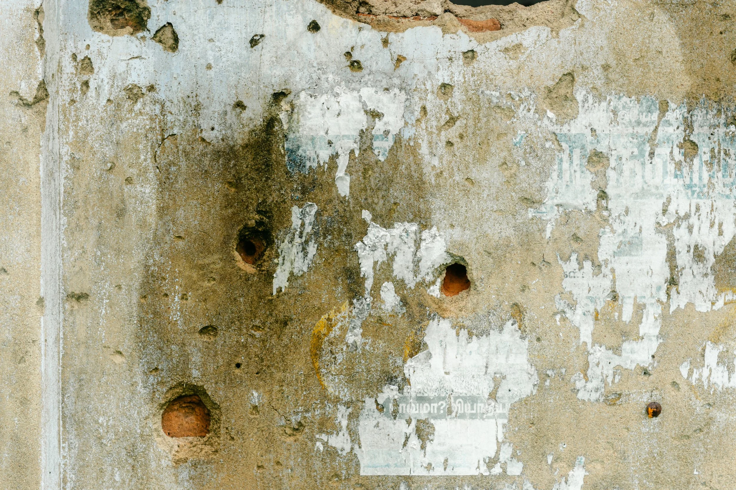 DSC_1005.jpg