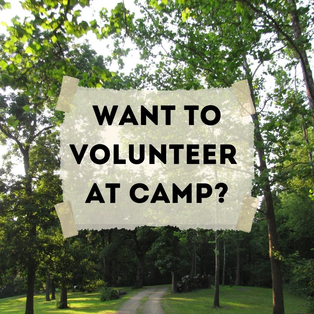 Did you know that our camps don't run on paid staff but are run by volunteers?
Do you want to volunteer at camp by joining one of our teams?
Head over to the volunteer page on our website to apply. 
Please remember that our camp leadership takes the 