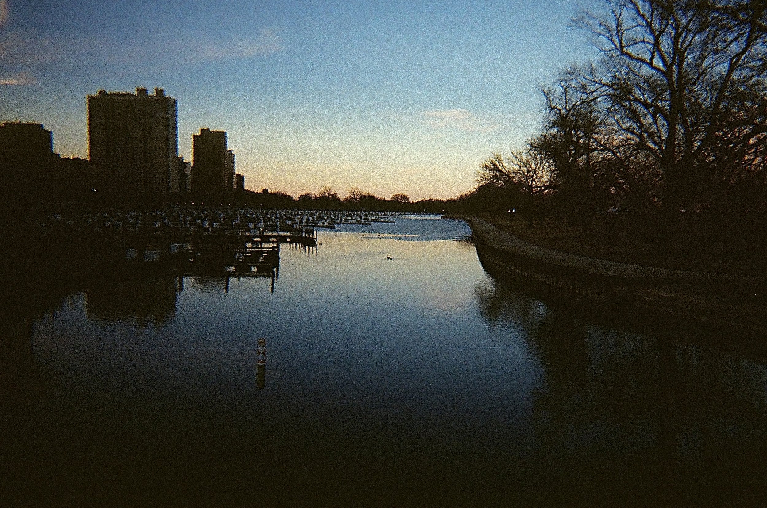 IMG_2395.jpg