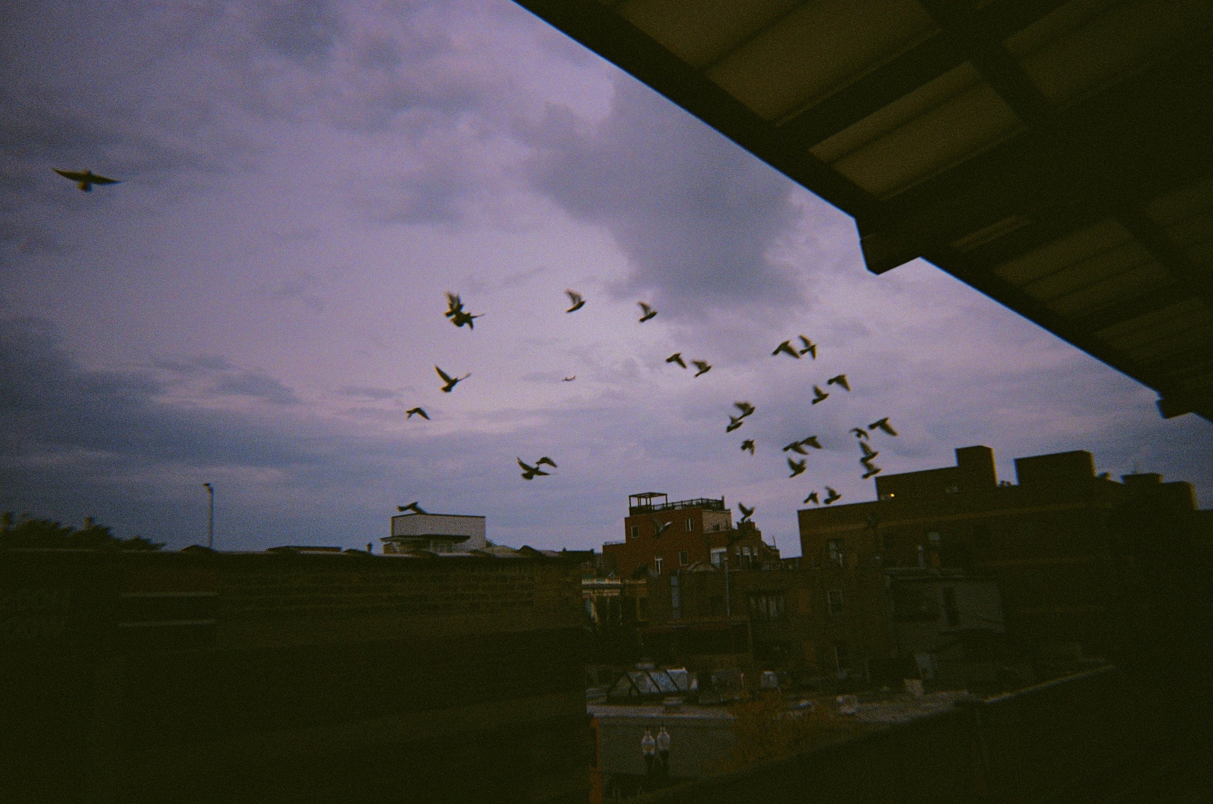 IMG_6086.jpg
