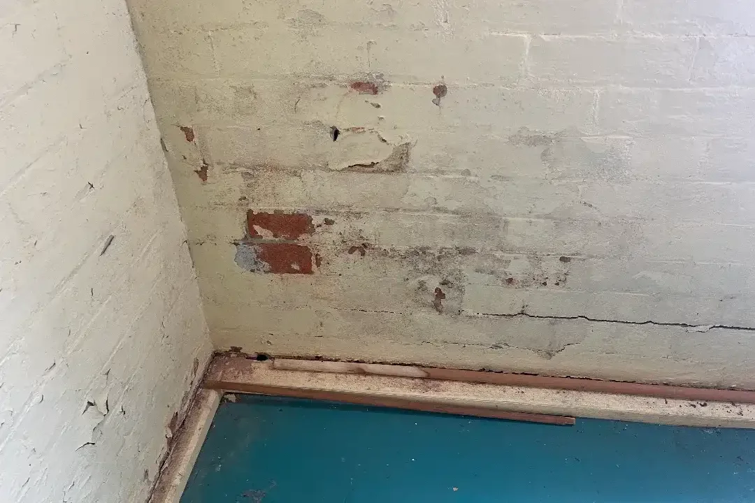 Building and Pest Inspection Noosaville