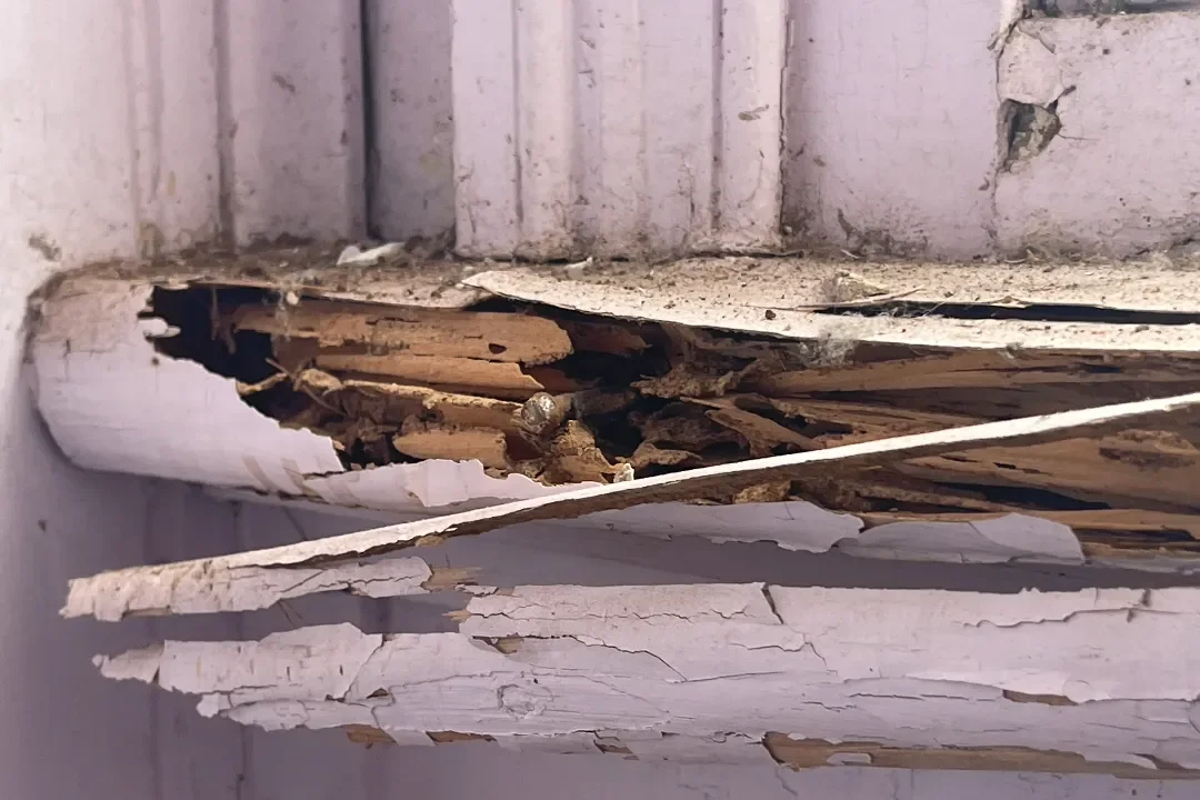 Building and Pest Inspection Coolum Beach