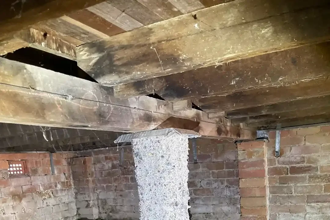 Building and Pest Inspection Noosaville