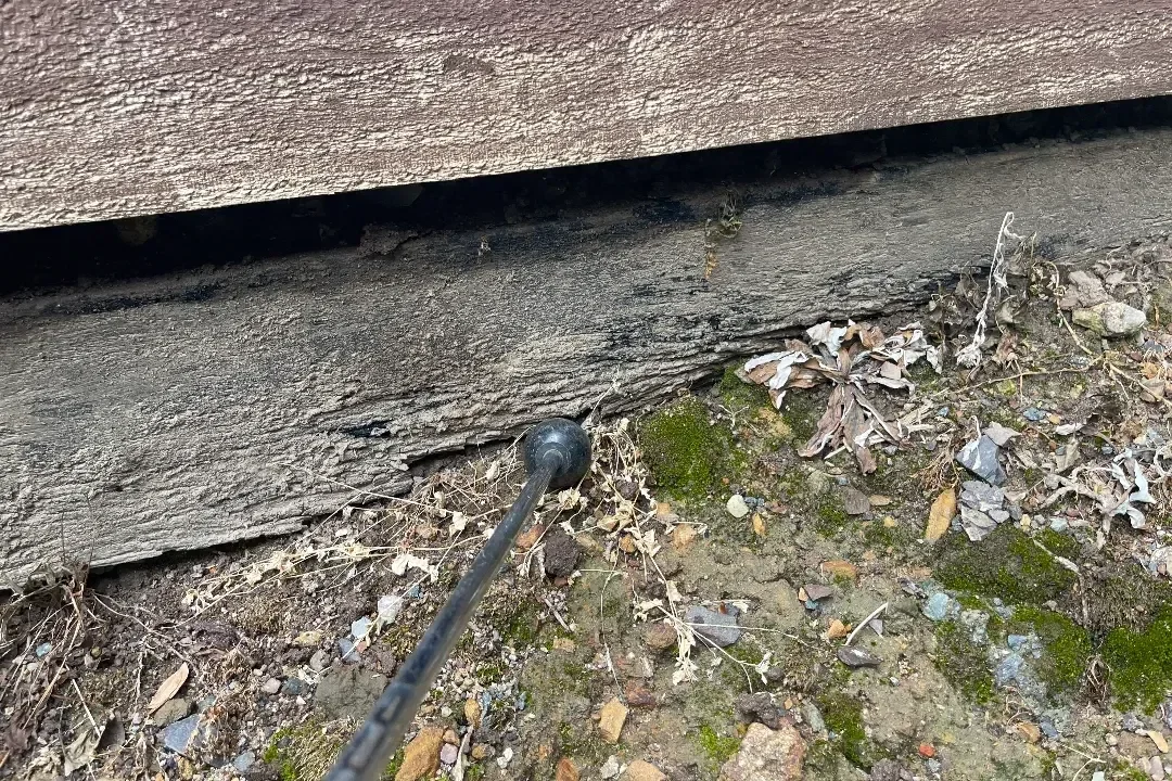 Building and Pest Inspection Maroochydore