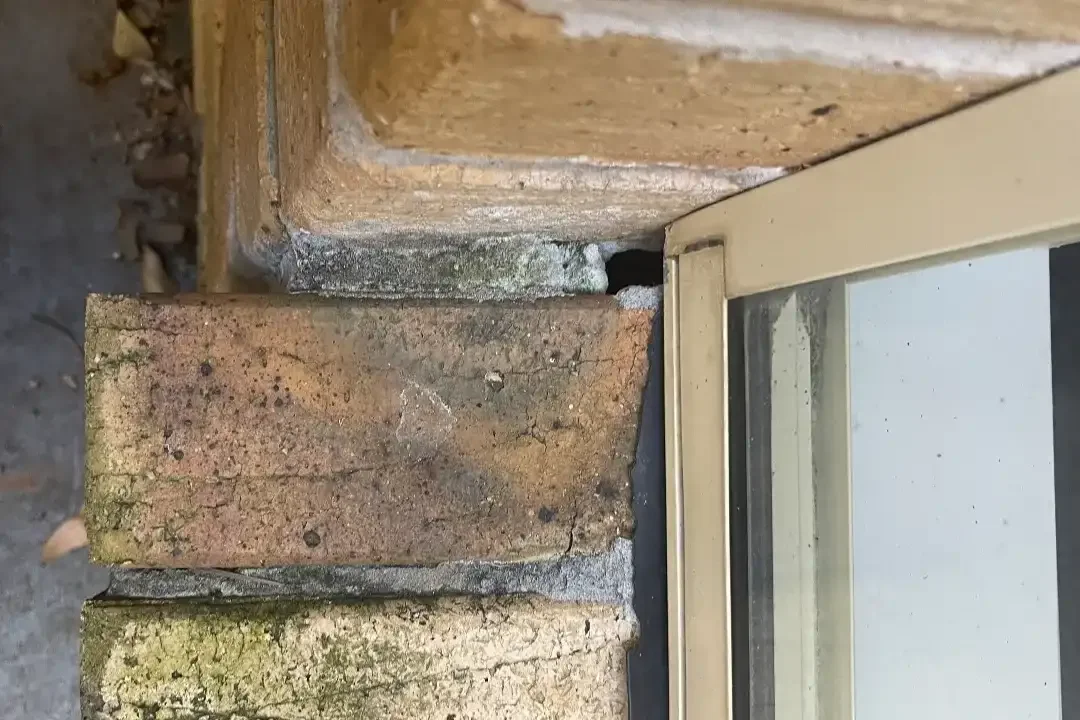 Building and Pest Inspection Coolum Beach