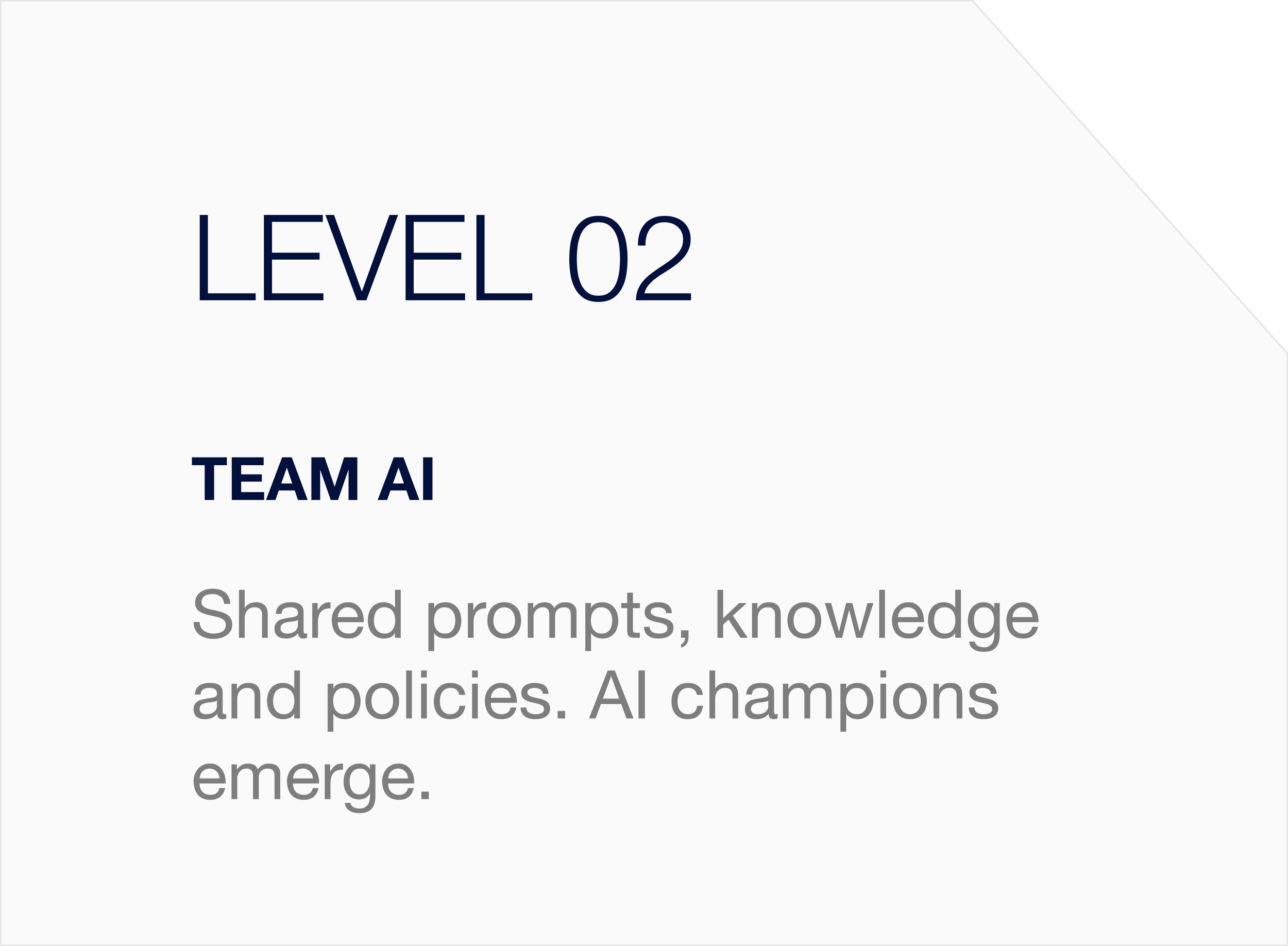 LEVEL 02 l Team AI - Shared prompts, knowledge and policies. AI champions emerge.