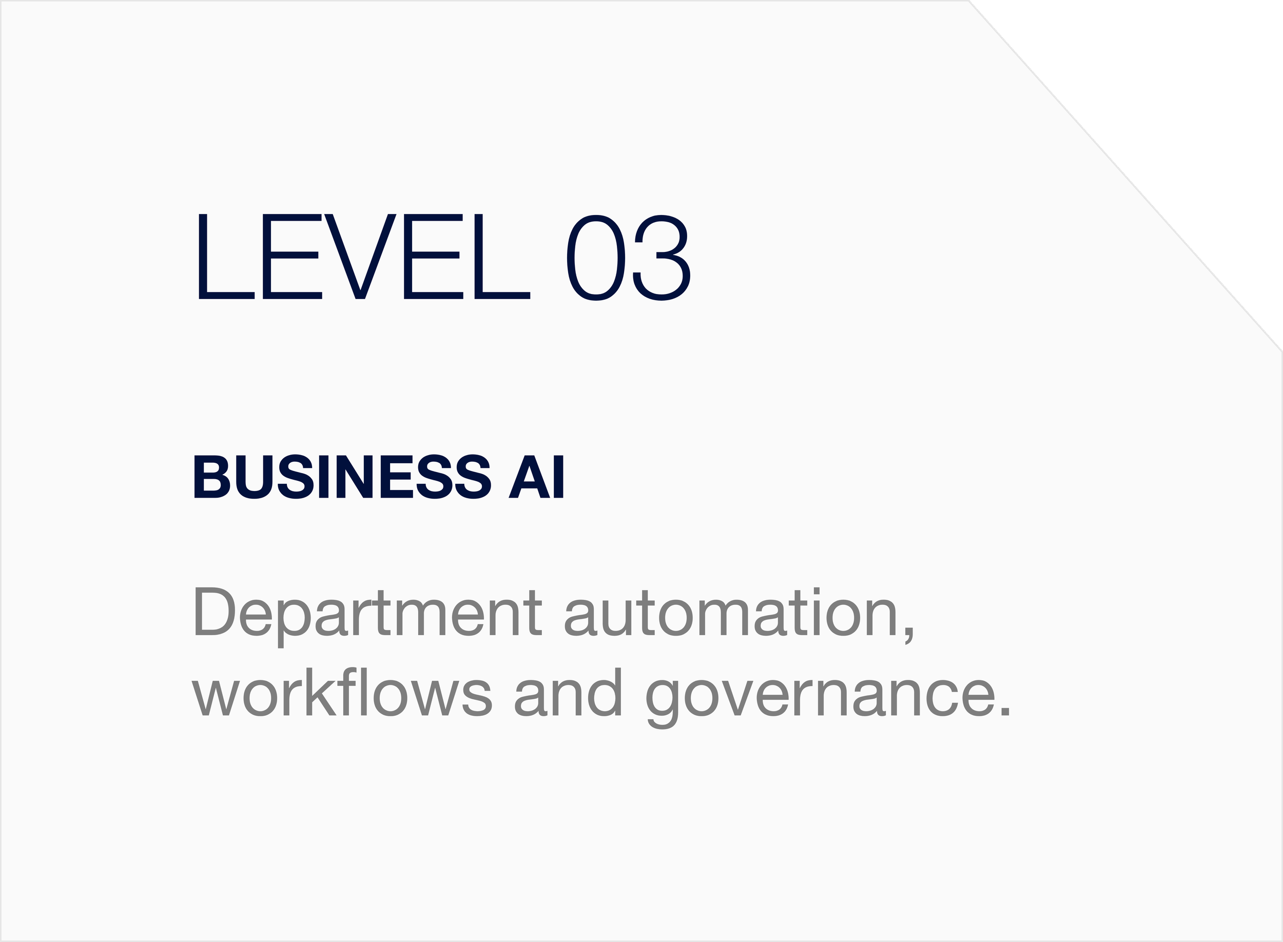 LEVEL 03 l Business AI  - Department automation, workflows and governance.