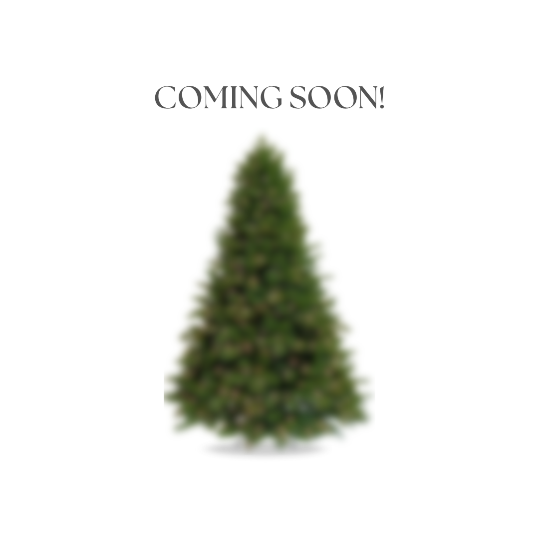 Christmas Decor (1).png