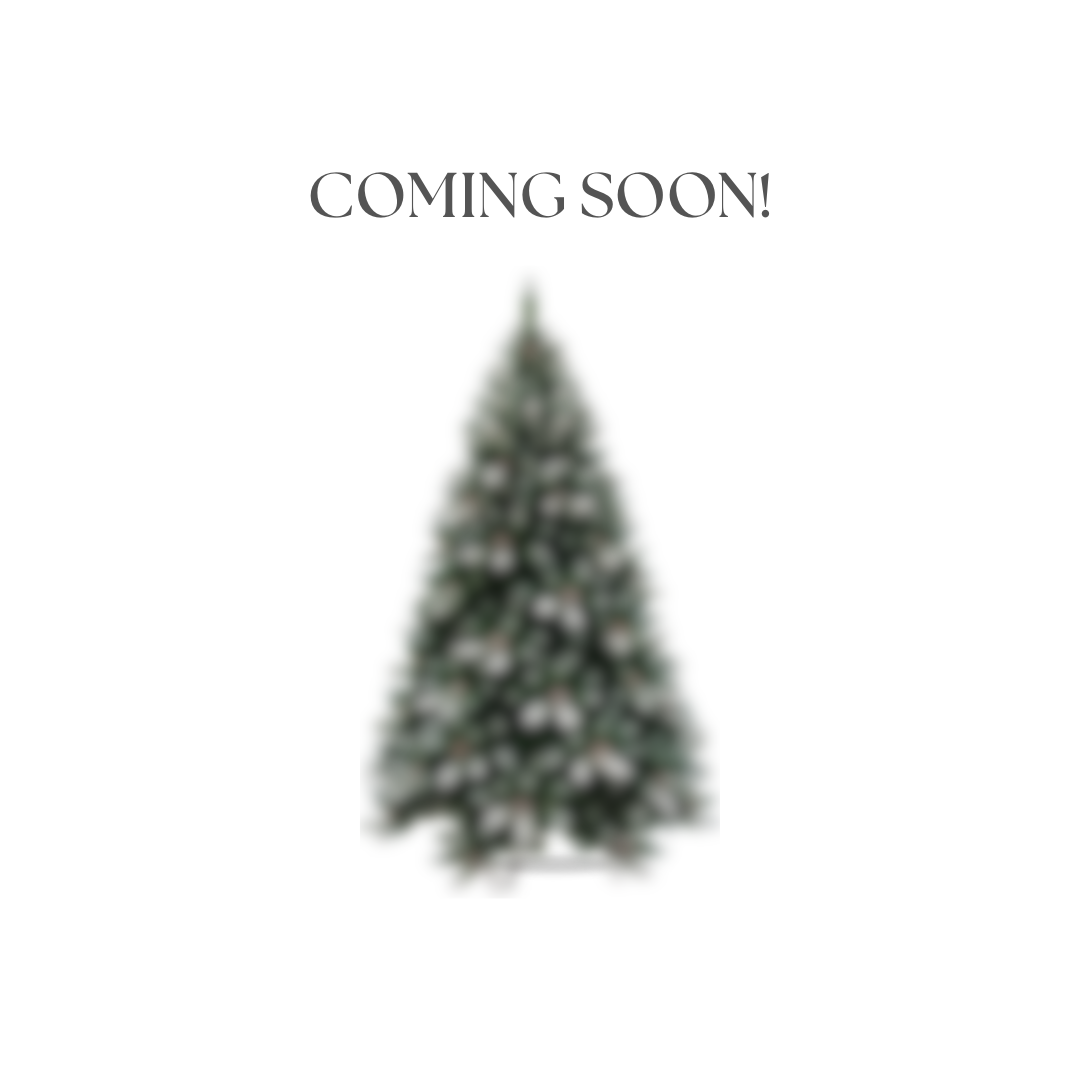Christmas Decor (2).png