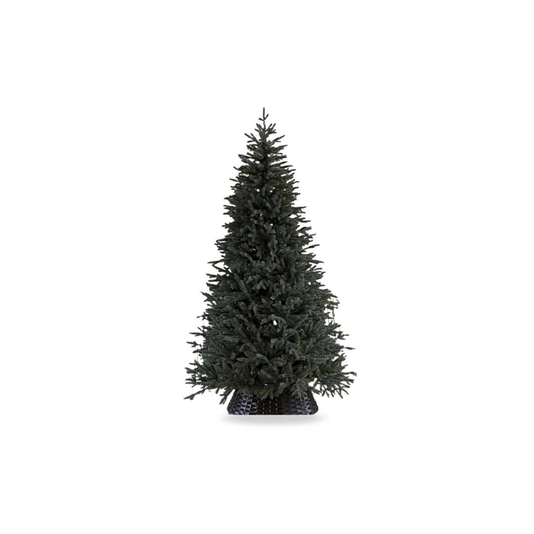 Christmas Decor (4).png