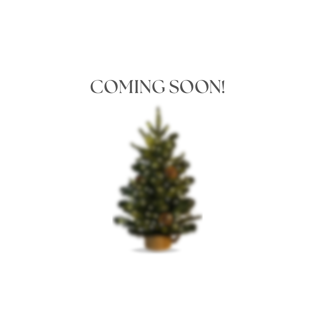 Christmas Decor (1).png