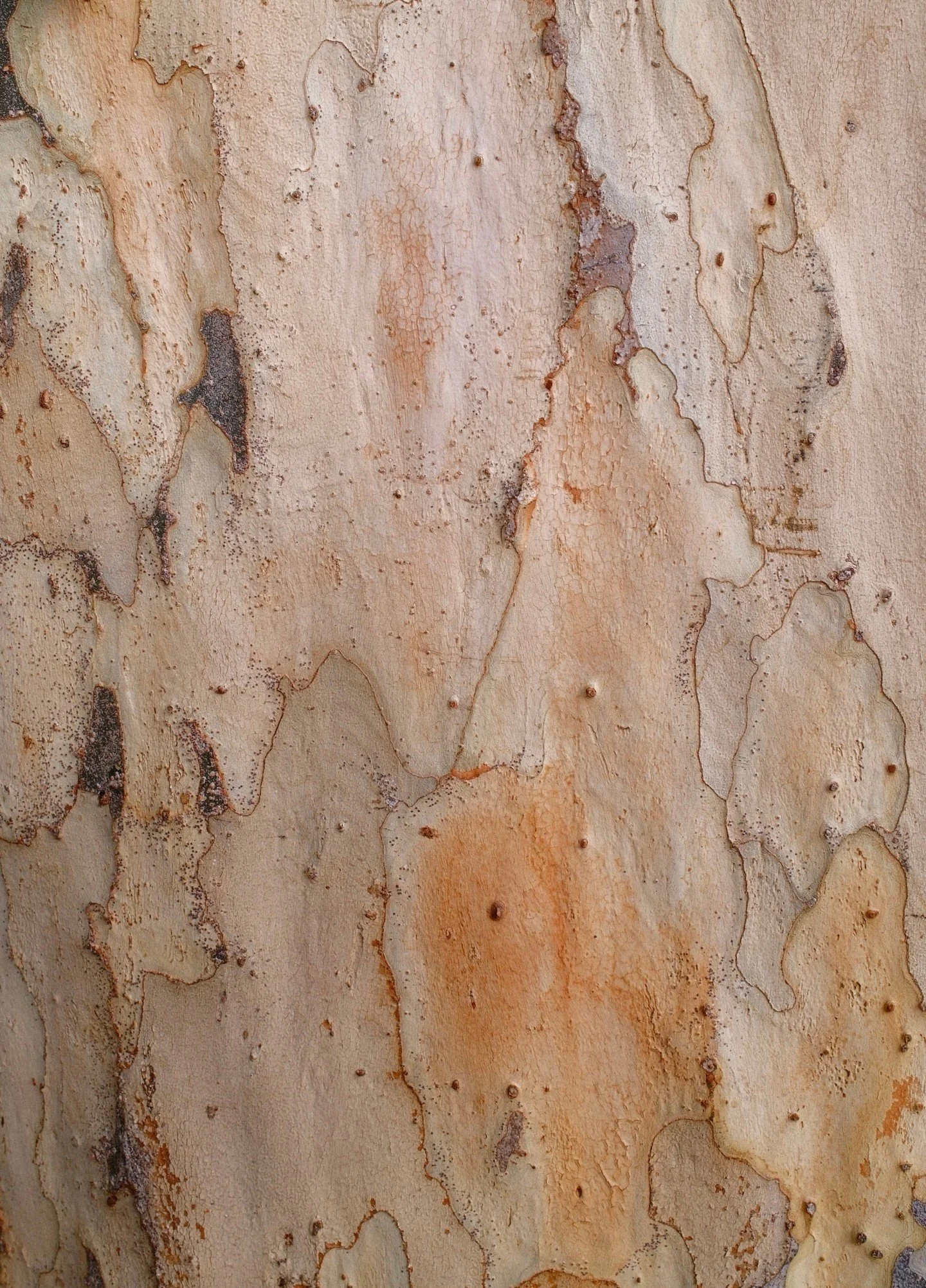 I think textures are fun. Can you tell me what you see?