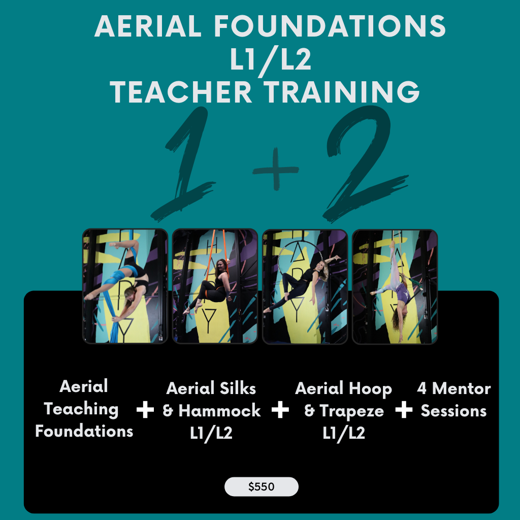 Aerial Foundations + L1 + L2 [Silks + Hoop + Hammock + Trapeze] - 1st-2nd August 2026