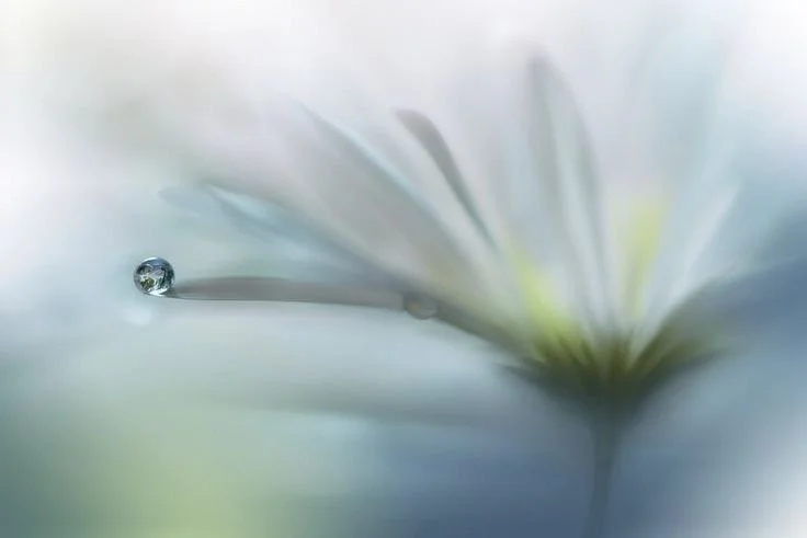 Droplet