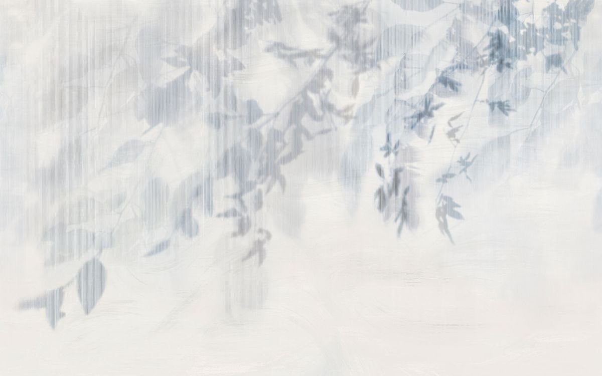 Shadows of a Plant 2