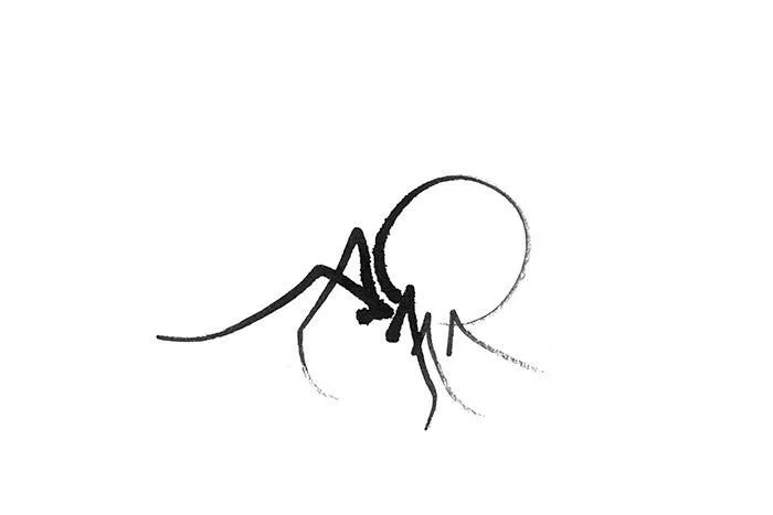 Spider Doodle