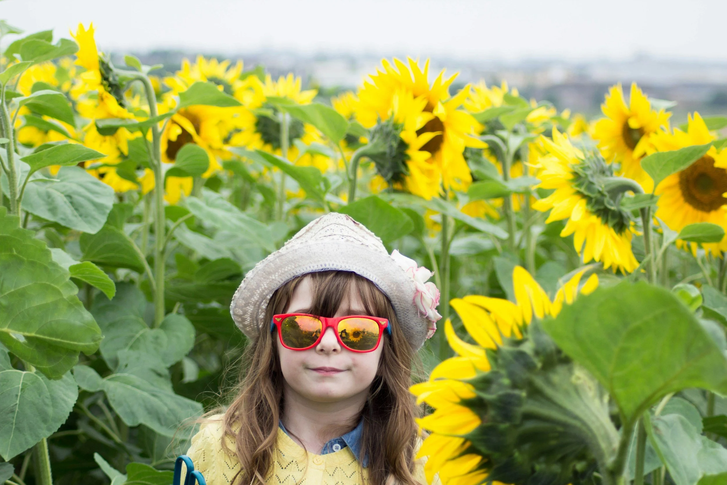 Young girl wearing red sunglasses, a white hat with pink flowers, and a yellow sweater standing in a sunflower field.
