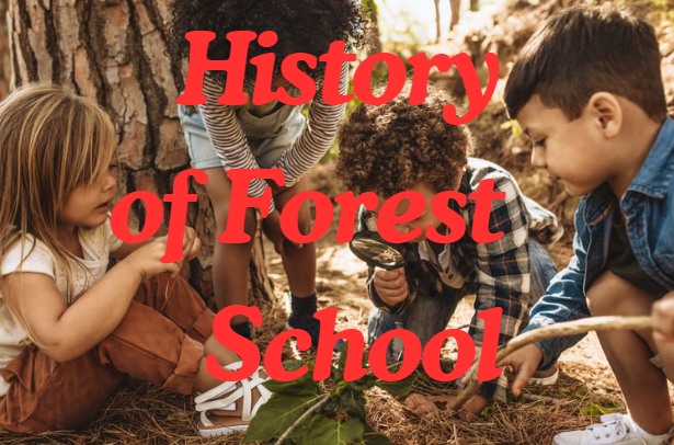 Forest Schools Are More Than Just Playing in the Woods