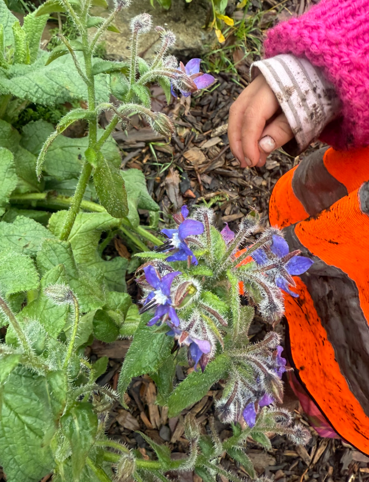 Children wearing yellow safety vests walking up stone steps in a garden on a sunny day with blue sky and clouds.