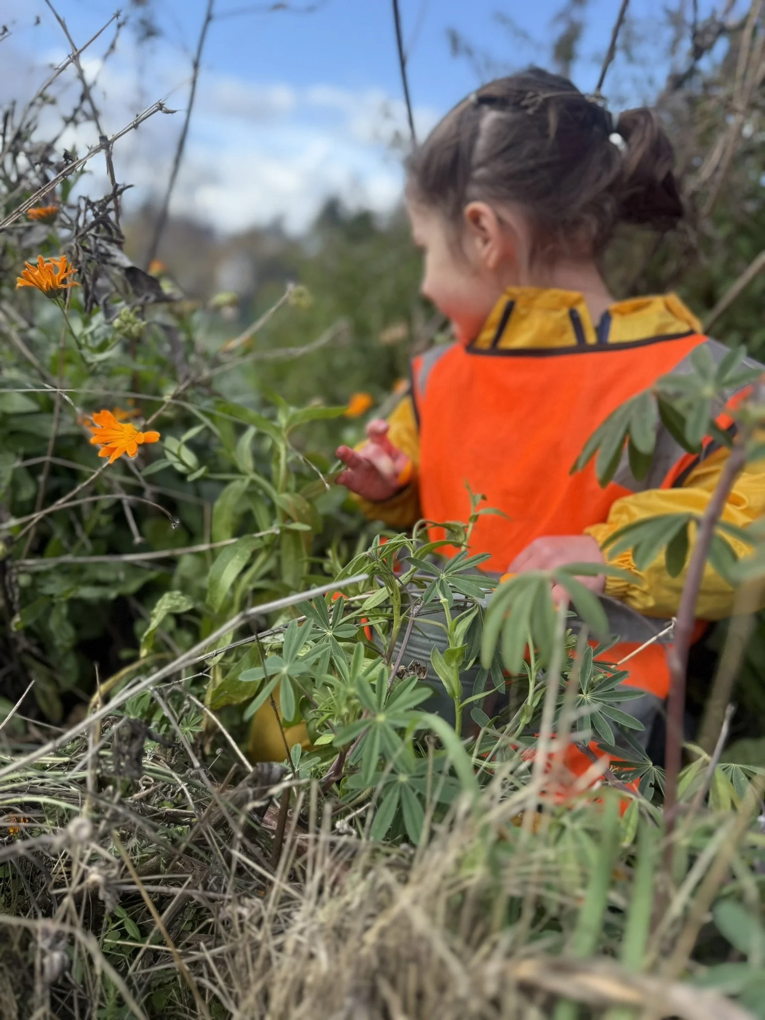 Child wading through a puddle on a grassy field wearing a raincoat, waterproof pants, and a yellow safety vest.