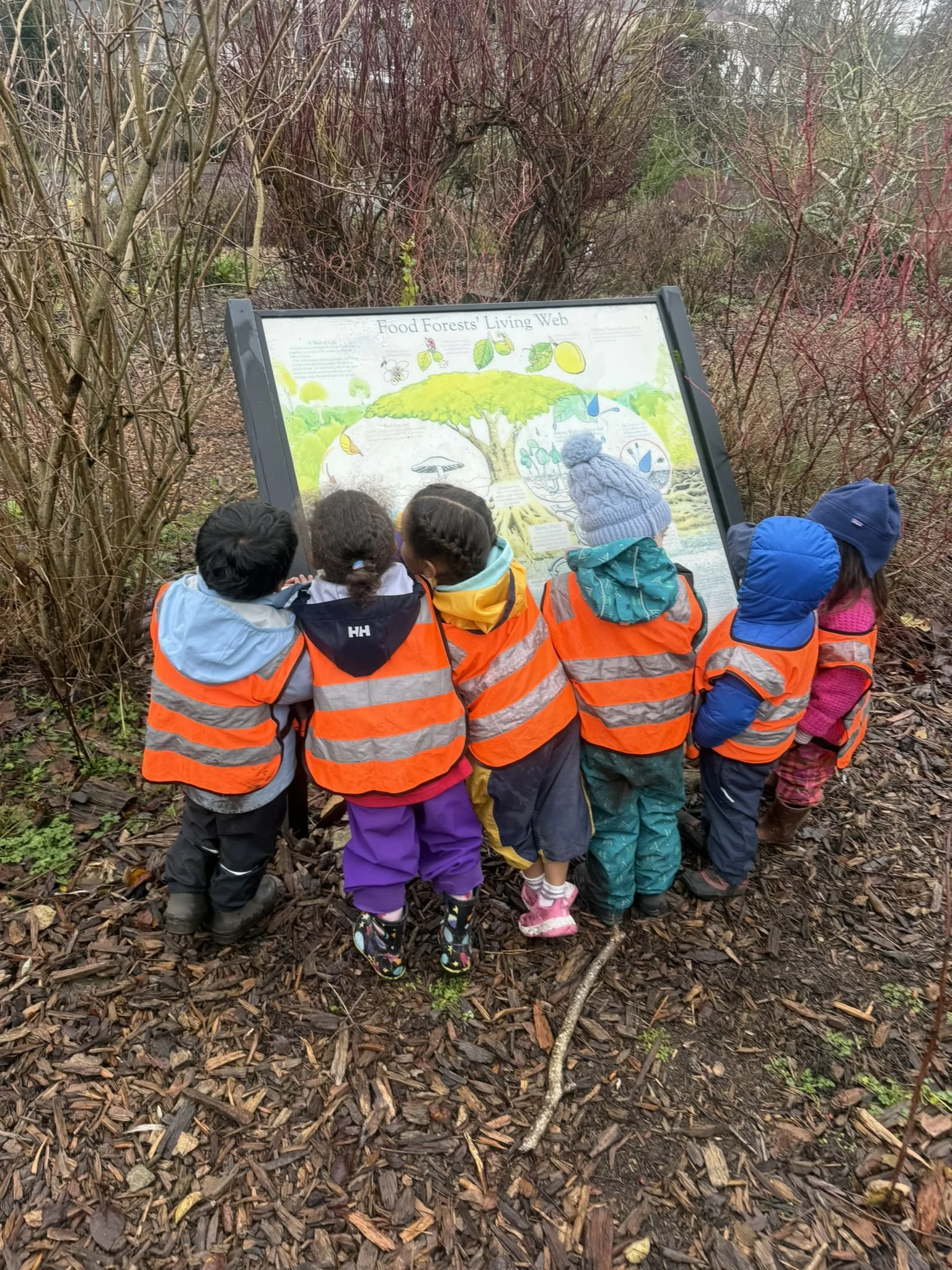 Group of young children walking on a narrow trail through a green, leafy outdoor area, all wearing bright yellow safety vests.
