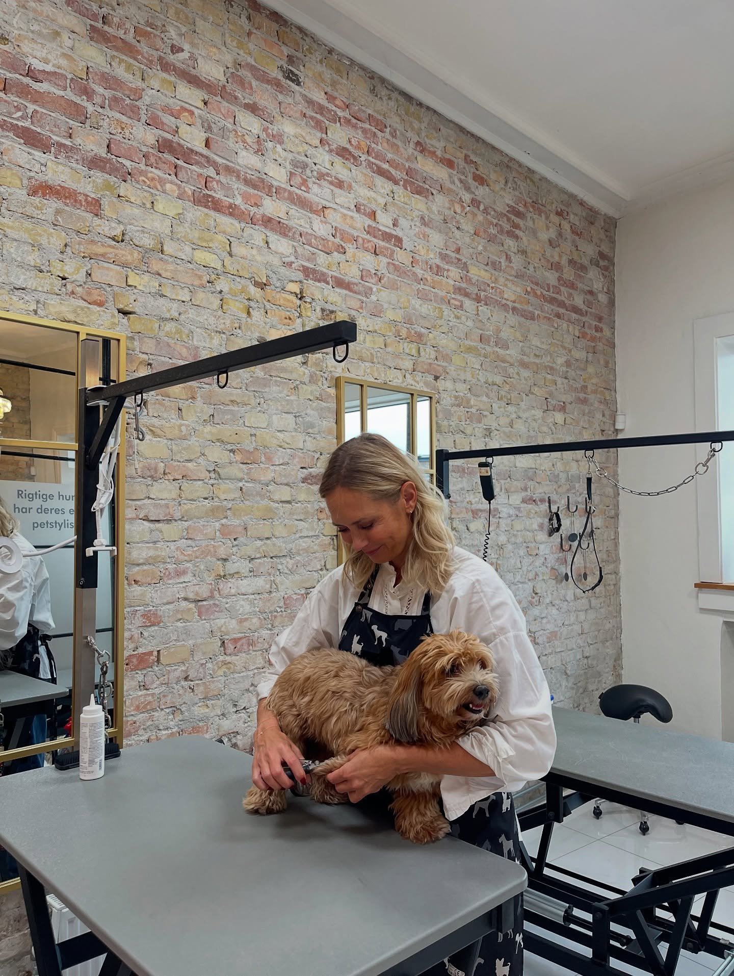 Kig ind og f&aring; tjekket din bedste vens negle &ndash; uden tidsbestilling 🐾💜

Hos AtelierPetit vurderer n&aelig;nsomt, om neglene tr&aelig;nger til en klip, og giver dig gode r&aring;d med p&aring; vejen.

Neglepleje er vigtigt for b&aring;de k