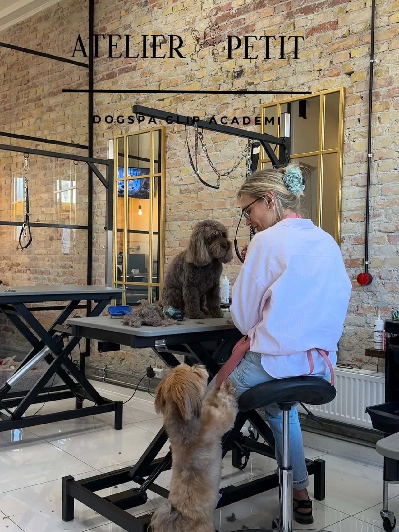 🐾 Glædelig søndag 🐾
Vi håber, I alle har haft en dejlig weekend ✨
Her er lidt glimt fra ugens løb – hvor der både har været tid til hygge, godbidder og ikke mindst masser af omsorg 🫶
Omsorg er nemlig en
